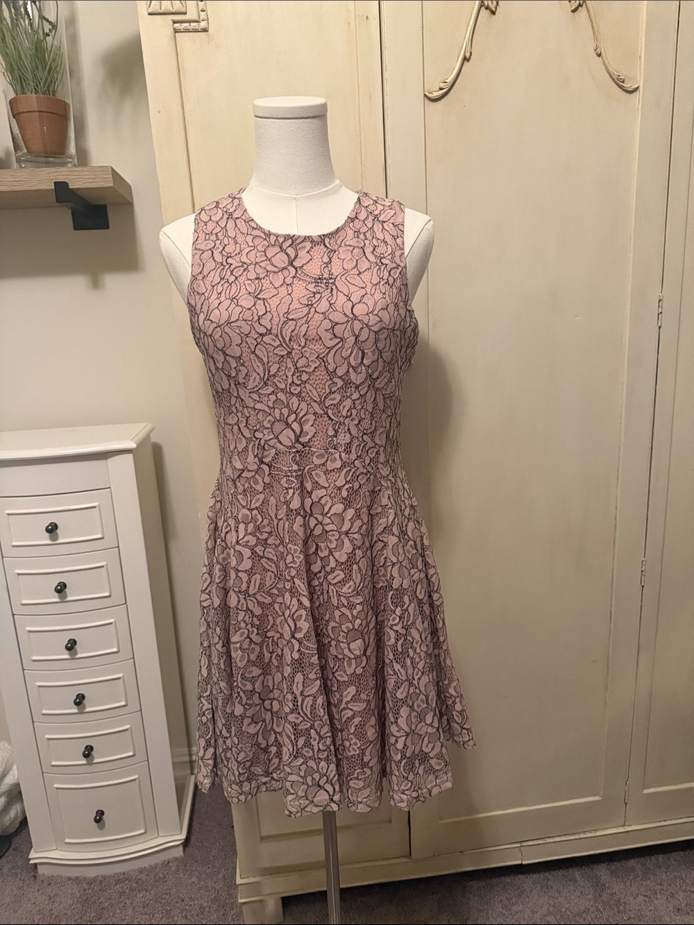 She + Sky Mauve Lace Sleeveless Fit & Flare Dress